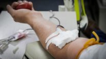 MT Hemocentro necessita de doadores voluntários de sangue