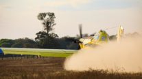 Segunda aeronave entra em operação para fortalecer combate aos incêndios no Pantanal