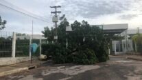 Chuva causa estragos durante a madrugada em MT