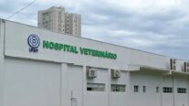 Hospital veterinário da UFMT não receberá animais resgatados por dívida de quase R$ 300 mil da secretaria