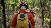 Corpo de Bombeiros detecta apenas um foco de calor no Pantanal mato-grossense