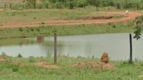 Acusado de matar três pescadores em fazenda de ex-bicheiro é condenado a 46 anos de prisão em MT