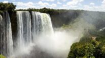 Sema-MT promove oficinas no Museu de História Natural e orientações ambientais pelo Dia Mundial da Água