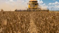 Medidas anunciadas são insuficientes para conter crise no agro em MT