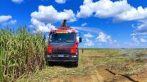 Bombeiros combatem incêndio em vegetação