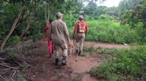 Bombeiros encontram corpo de criança de dois anos que se afogou em córrego