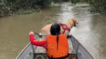 Bombeiros encontram corpos de vítimas de afogamento em rios de MT