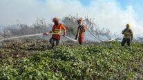 Corpo de Bombeiros combate sete incêndios florestais neste domingo (28)