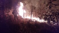 Bombeiros combatem incêndio em área de vegetação em Santo Antônio de Leverger