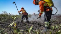 Corpo de Bombeiros combate 15 incêndios florestais em Mato Grosso nesta quarta-feira (31)