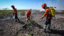 Corpo de Bombeiros extingue dois incêndios em Nova Mutum e combate outros 21 em MT nesta segunda-feira (05)