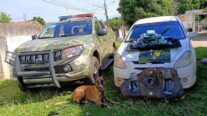 Cães farejadores encontram 22 pacotes de drogas escondidos em veículo vindo da Bolívia para MT